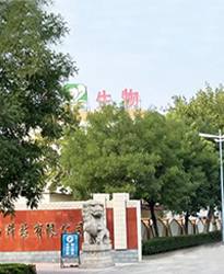 眾升科技高壓無功補(bǔ)償柜 --助力山東福洋生物科技股份有限公司,高效用電、改善用電質(zhì)量！